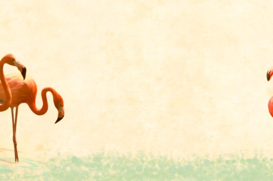 FlamingoBanner